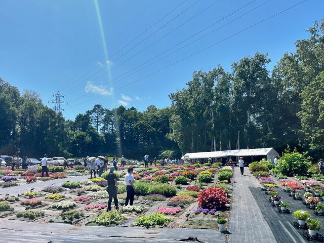 本日最終日！！
みなさまお待ちしております！

【花の祭典 第12回北海道フィールドトライアル2025】
今年も開催!!
北海道に適した約600種類の花苗が皆さんをお待ちしています!
たくさんのお花をぜひお楽しみください!

[開催日時]
2025年8月1日(金)～2日(土) 8:30〜16:00
※雨天決行、荒天中止（中止の場合は、公式サイトに表示します）

[会場]
学校法人八紘学園 北海道農業専門学校 特設会場
〒062-0053 札幌市豊平区月寒東3条11丁目3
入場無料

[参加団体]
岩谷マテリアル(株)
(株)H・I・J/フジ フローラ
(株)エム・アンド・ビー・フローラ
カネコ種苗(株)
(株)サカタのタネ
サントリーフラワーズ(株)
タキイ種苗(株)
(株)ハクサン

#北海道フィールドトライアル
#八紘学園
#緑化フェア
#花
#北海道
#札幌
#花のある暮らし
#北海道フェア
#花と緑
#植物好き
#花好き
#植物が好き
#花好きな人と繋がりたい
#植物好きと繋がりたい
#植物のある暮らし
#flower
#ハナbee
#ハンギングバスケット
#岩谷マテリアル
#フジフローラ
#エムアンドフローラ
#カネコ種苗
#サカタのタネ
#サントリーフラワーズ
#タキイ種苗
#ハクサン
#寄せ植え教室
#北海道フラワーガーデン協会
#花農家ゆうきの園芸ガーデニングチャンネル
#ガーデンちゃんねる