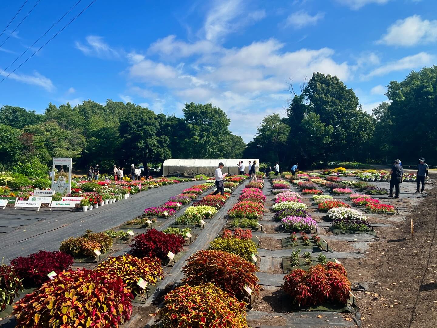 始まりました！
天気にも恵まれお花も生き生きとしています。
みなさま会場でお待ちしています！

【花の祭典 第12回北海道フィールドトライアル2025】
今年も開催!!
北海道に適した約600種類の花苗が皆さんをお待ちしています!
たくさんのお花をぜひお楽しみください!

[開催日時]
2025年8月1日(金)～2日(土) 8:30〜16:00
※雨天決行、荒天中止（中止の場合は、公式サイトに表示します）

[会場]
学校法人八紘学園 北海道農業専門学校 特設会場
〒062-0053 札幌市豊平区月寒東3条11丁目3
入場無料

[参加団体]
岩谷マテリアル(株)
(株)H・I・J/フジ フローラ
(株)エム・アンド・ビー・フローラ
カネコ種苗(株)
(株)サカタのタネ
サントリーフラワーズ(株)
タキイ種苗(株)
(株)ハクサン

#北海道フィールドトライアル
#八紘学園
#緑化フェア
#花
#北海道
#札幌
#花のある暮らし
#北海道フェア
#花と緑
#植物好き
#花好き
#植物が好き
#花好きな人と繋がりたい
#植物好きと繋がりたい
#植物のある暮らし
#flower
#ハナbee
#ハンギングバスケット
#岩谷マテリアル
#フジフローラ
#エムアンドフローラ
#カネコ種苗
#サカタのタネ
#サントリーフラワーズ
#タキイ種苗
#ハクサン
#寄せ植え教室
#北海道フラワーガーデン協会
#花農家ゆうきの園芸ガーデニングチャンネル
#ガーデンちゃんねる