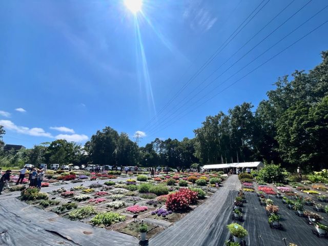 たくさんの来場者さんで賑わっています。
みなさまお待ちしております！

【花の祭典 第12回北海道フィールドトライアル2025】
今年も開催!!
北海道に適した約600種類の花苗が皆さんをお待ちしています!
たくさんのお花をぜひお楽しみください!

[開催日時]
2025年8月1日(金)～2日(土) 8:30〜16:00
※雨天決行、荒天中止（中止の場合は、公式サイトに表示します）

[会場]
学校法人八紘学園 北海道農業専門学校 特設会場
〒062-0053 札幌市豊平区月寒東3条11丁目3
入場無料

[参加団体]
岩谷マテリアル(株)
(株)H・I・J/フジ フローラ
(株)エム・アンド・ビー・フローラ
カネコ種苗(株)
(株)サカタのタネ
サントリーフラワーズ(株)
タキイ種苗(株)
(株)ハクサン

#北海道フィールドトライアル
#八紘学園
#緑化フェア
#花
#北海道
#札幌
#花のある暮らし
#北海道フェア
#花と緑
#植物好き
#花好き
#植物が好き
#花好きな人と繋がりたい
#植物好きと繋がりたい
#植物のある暮らし
#flower
#ハナbee
#ハンギングバスケット
#岩谷マテリアル
#フジフローラ
#エムアンドフローラ
#カネコ種苗
#サカタのタネ
#サントリーフラワーズ
#タキイ種苗
#ハクサン
#寄せ植え教室
#北海道フラワーガーデン協会
#花農家ゆうきの園芸ガーデニングチャンネル
#ガーデンちゃんねる